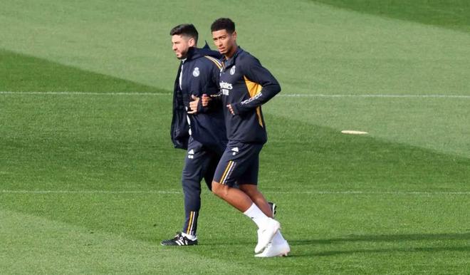 山东东营黄 山东东营黄